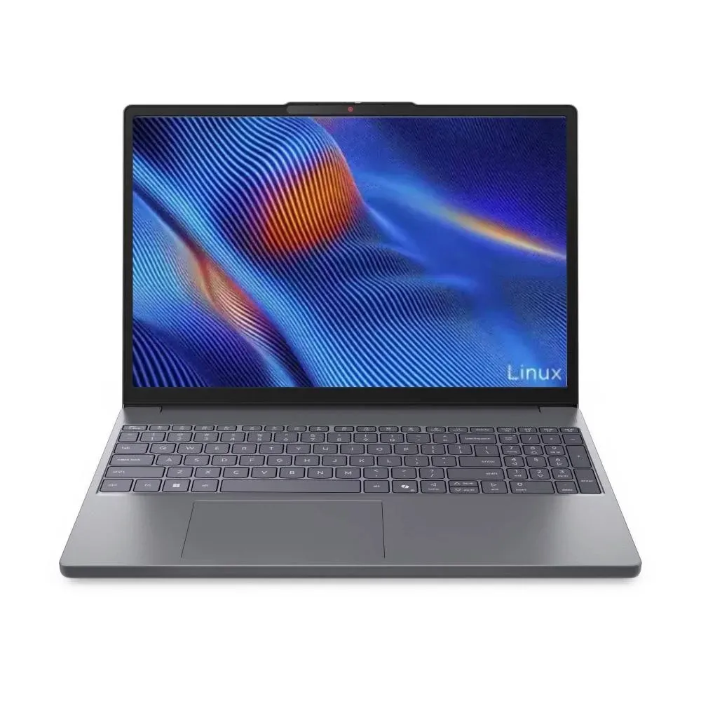 Notebook Lenovo Ideapad Core 3 100u /8gb/ssd256gb/15.6 Linux